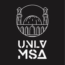 UNLV MSA